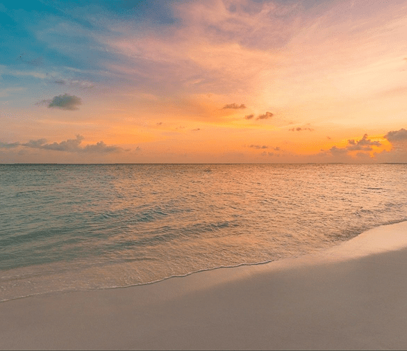 Path to recovery img